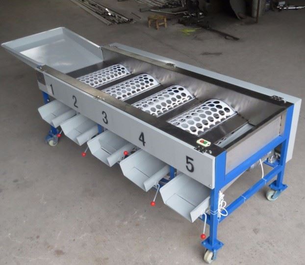 Avocado Sorting Machine