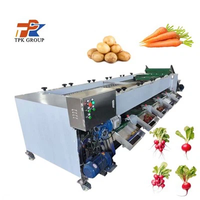 Porgandi sorteerimismasin