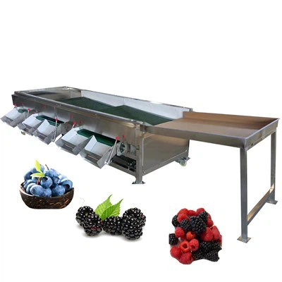 Fresh Grader mustika sorteerimismasin